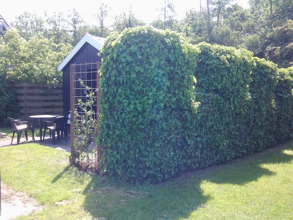 Bed & Breakfast Meinsma Moddergat Esterno foto