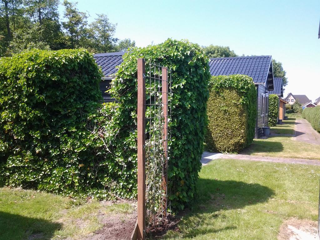 Bed & Breakfast Meinsma Moddergat Esterno foto